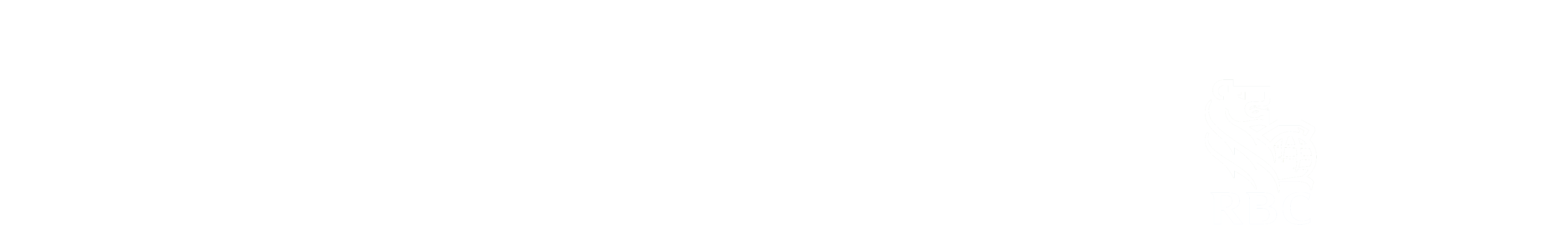 ST MICHAELS HOSPITAL FOUNDATION Angels Den - RBC Capital Markets